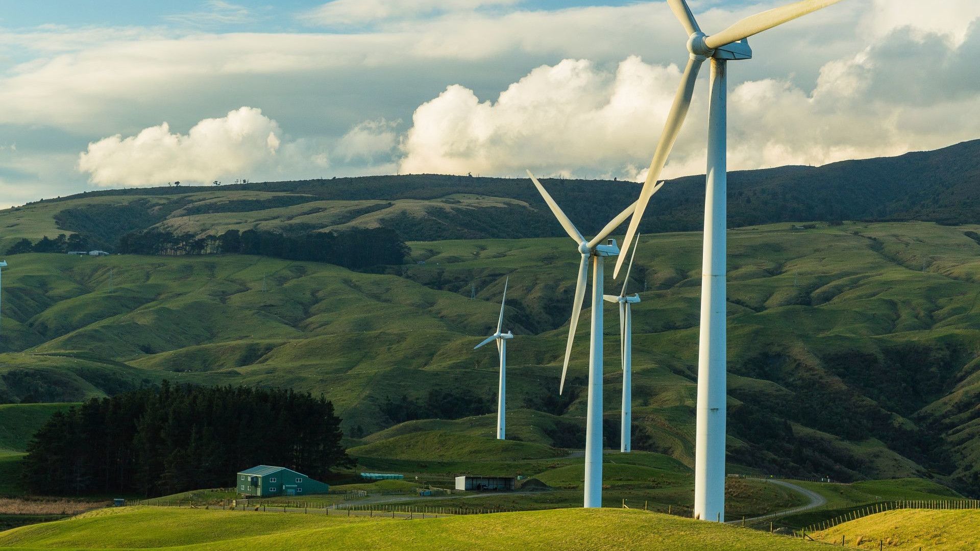 Set among green fields, several windmills generate renewable energy, a key part of many businesses’ climate action plans.