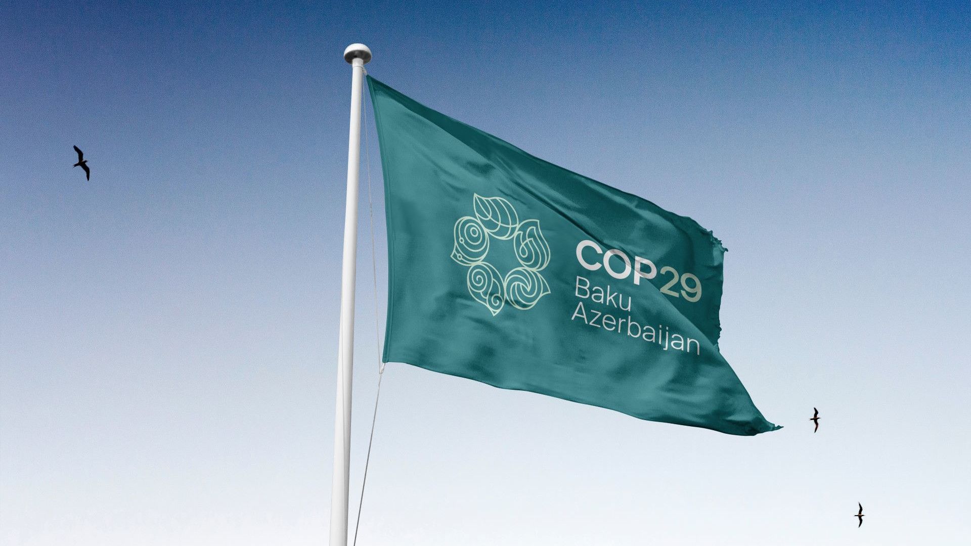 Green flag waving in the wind with the text 'COP29 Baku Azerbaijan' and a circular logo, set against a clear blue sky with birds flying in the background.